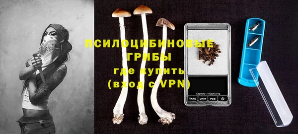 амф Володарск